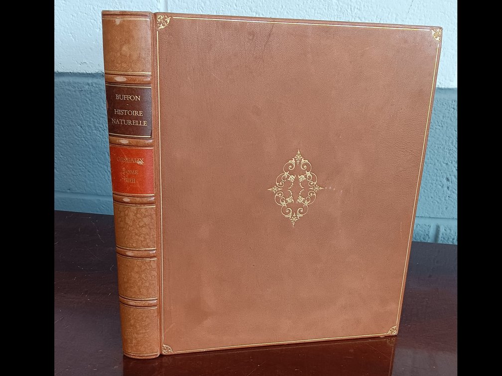 Image for Books, Maps, Ephemera, Sports cards and more