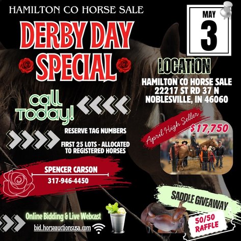 Image for Hamilton County Horse & Tack Sale- Derby Day Special May 3rd  - Noblesville, IN