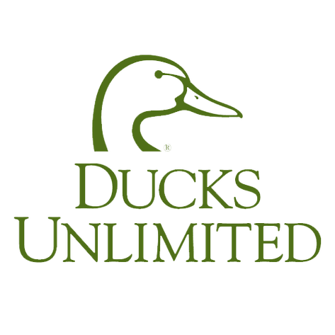 Image for Ducks Unlimited - Green Top