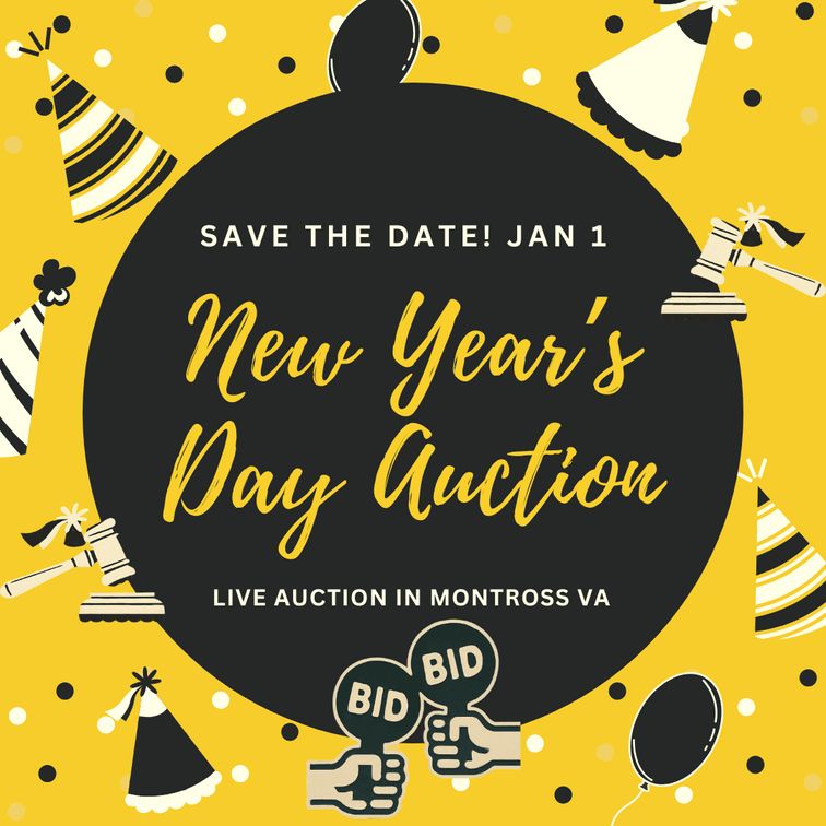 Image for January 1, 2026 Annual LIVE New Year's Day Auction