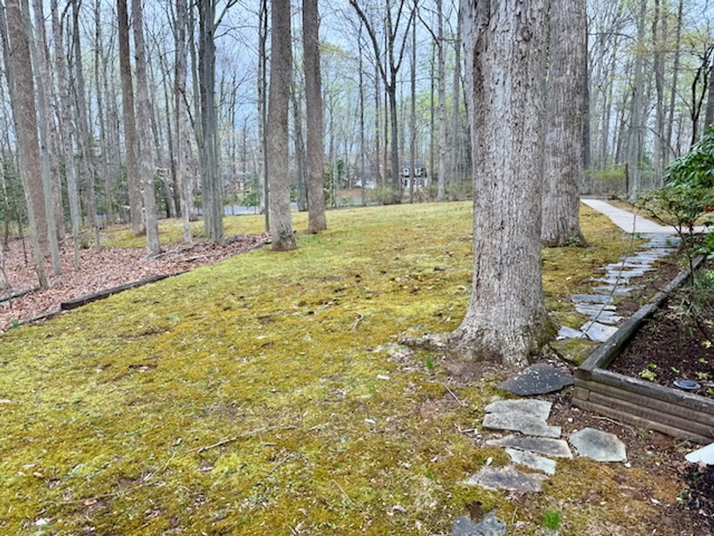 Image for 4 BR/3 BA Home on 2.4 +/- Wooded Acres in the Woodbine Forest Neighborhood of Prince William County, VA