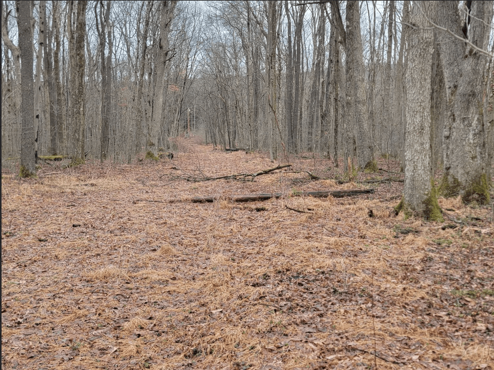 Image for TBD Cranesville Road Terra Alta WV