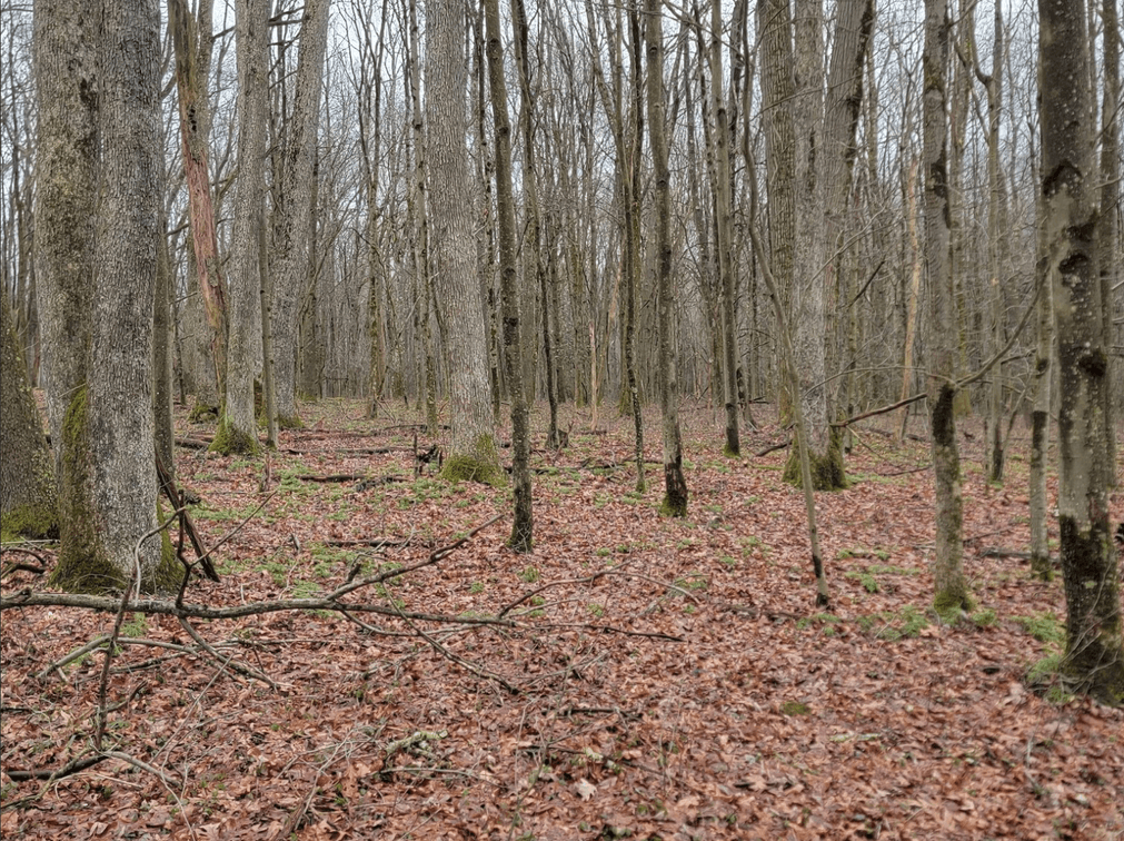 Image for TBD Cranesville Road Terra Alta WV