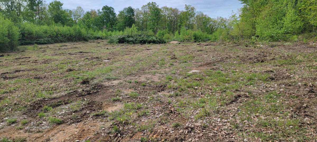 Image for TBD Determined Veterans Memorial Highway Kingwood, 5 Acre Lot!