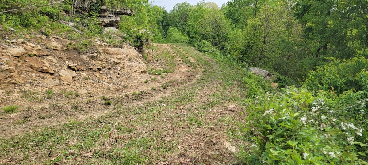 Image for TBD Determined Veterans Memorial Highway Kingwood, 5 Acre Lot!