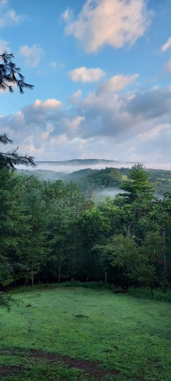 Image for 211 Martin Road Artemas PA, W/Cabin and 33 Acres!
