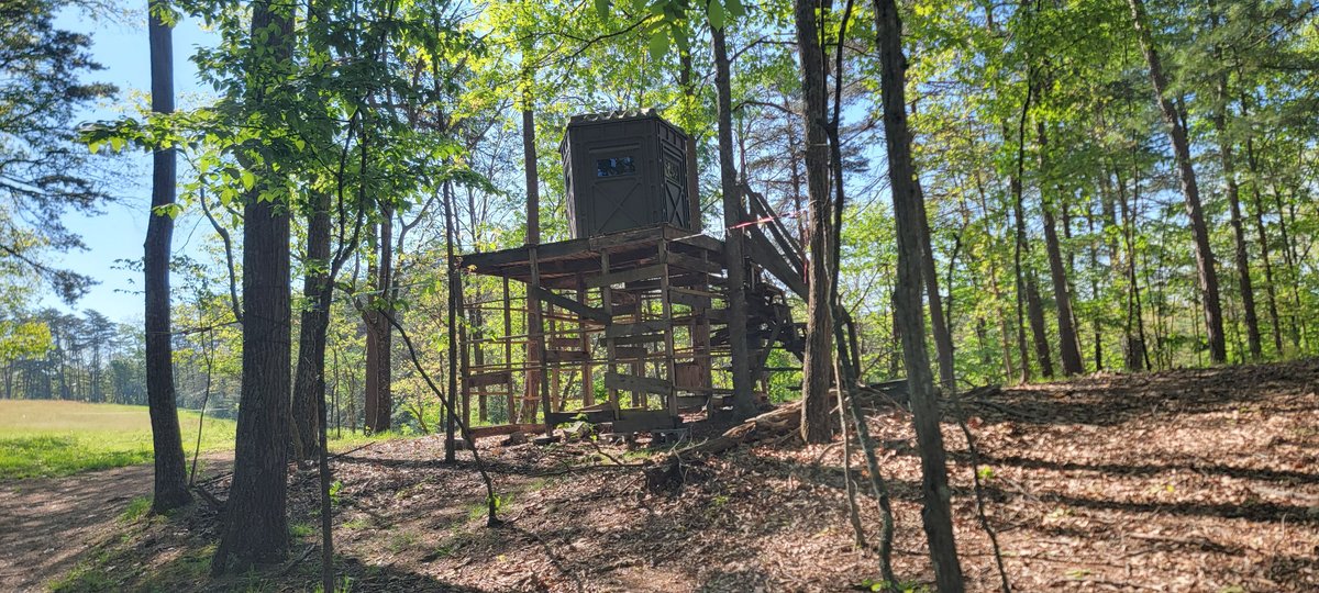 Image for 211 Martin Road Artemas PA, W/Cabin and 33 Acres!