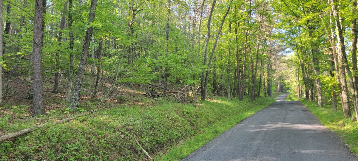 Image for 211 Martin Road Artemas PA, W/Cabin and 33 Acres!