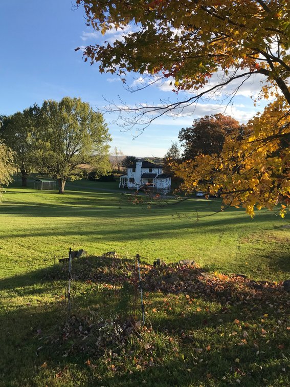 Image for Beautiful 65 Acre Farm with Farmhouse with 2 Story wood Barn!  Oakland Maryland