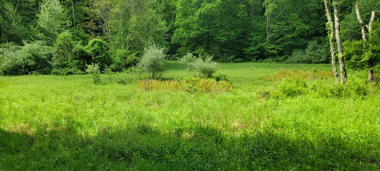 Image for Hunters Paradise with 103 Acres near Halleck Road, Morgantown WV!!!