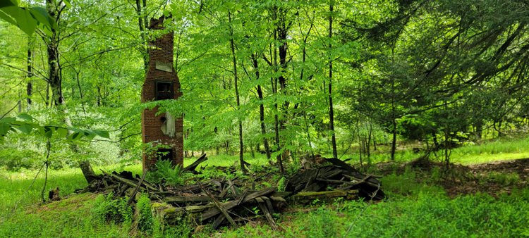 Image for Hunters Paradise with 103 Acres near Halleck Road, Morgantown WV!!!