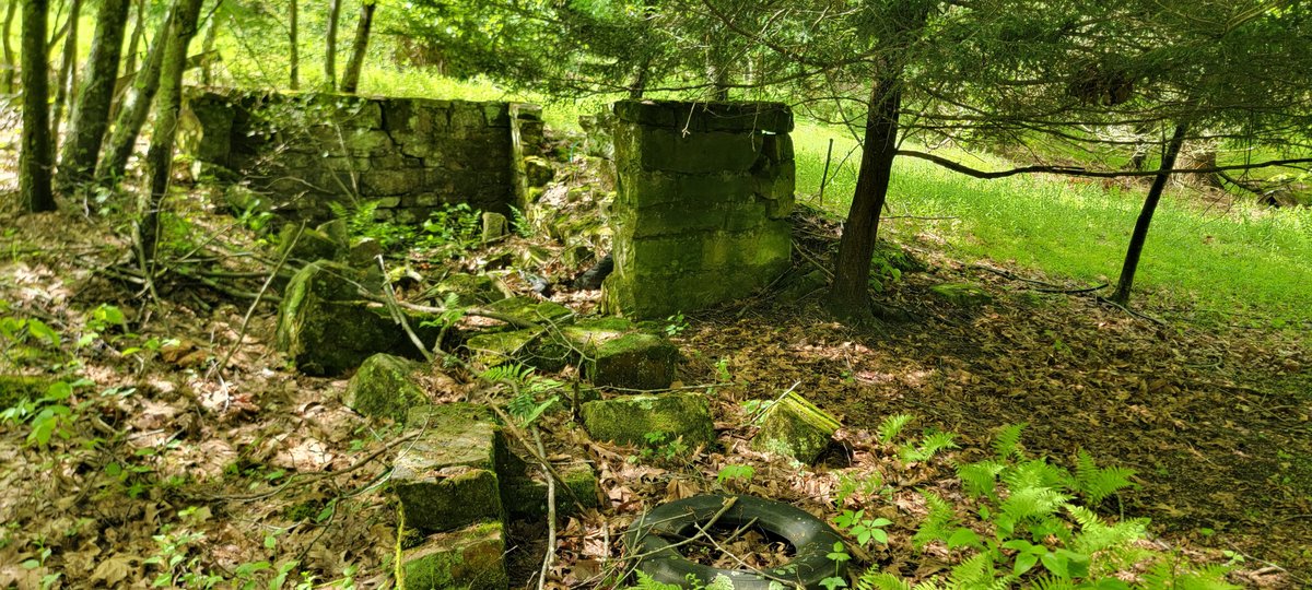 Image for Hunters Paradise with 103 Acres near Halleck Road, Morgantown WV!!!