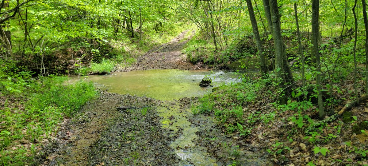 Image for Hunters Paradise with 103 Acres near Halleck Road, Morgantown WV!!!