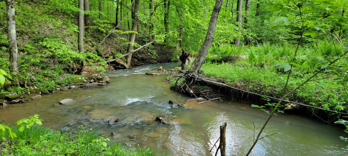 Image for Hunters Paradise with 103 Acres near Halleck Road, Morgantown WV!!!