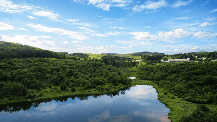 Image for 37.8 Acre Commercial Property, Oakland Maryland