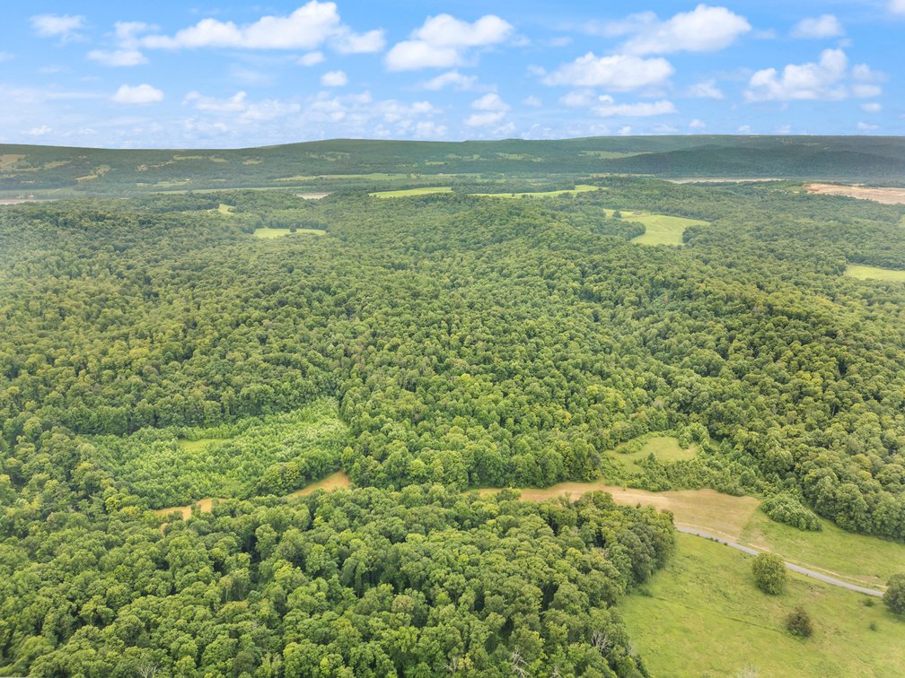 Image for 71.161 Acres Valley City Mauckport Rd SW  - ONLINE AUCTION ONLY
