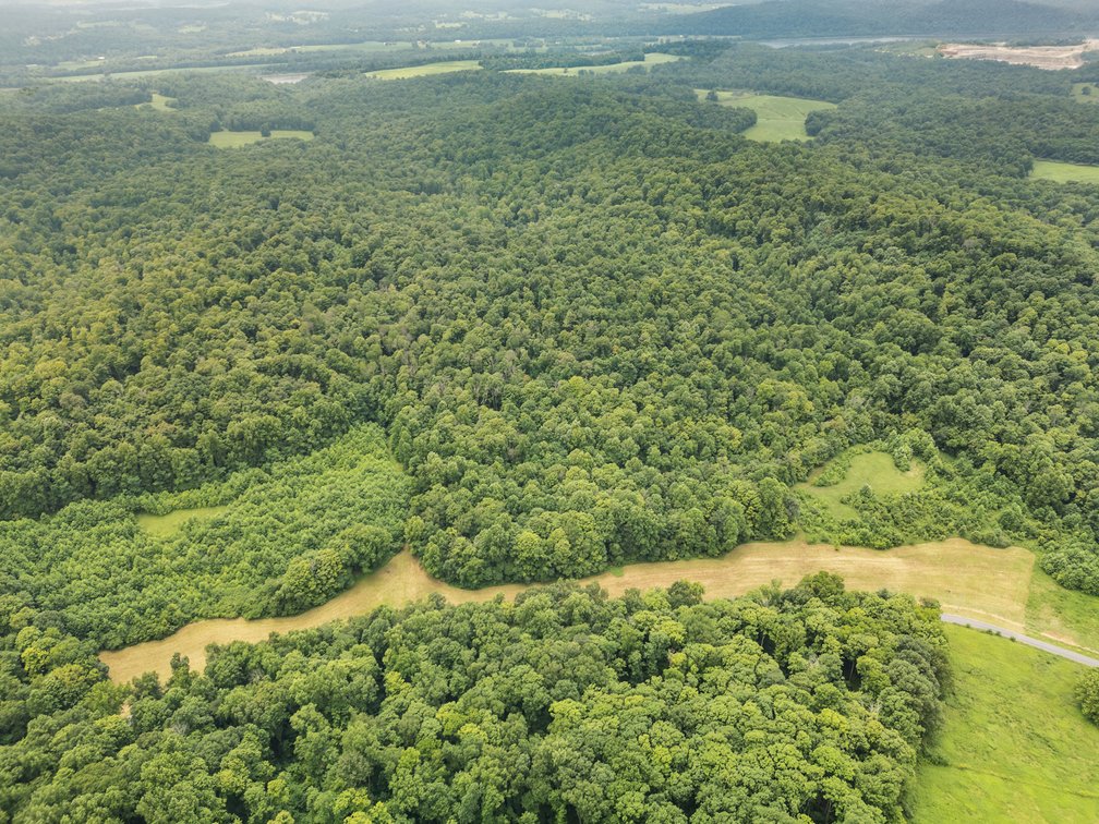 Image for 71.161 Acres Valley City Mauckport Rd SW  - ONLINE AUCTION ONLY