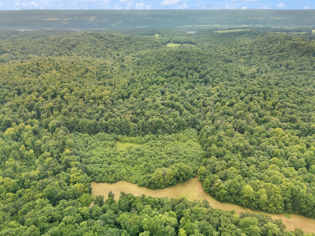 Image for 71.161 Acres Valley City Mauckport Rd SW  - ONLINE AUCTION ONLY