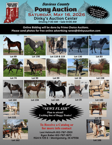 Image for Daviess County Pony Auction