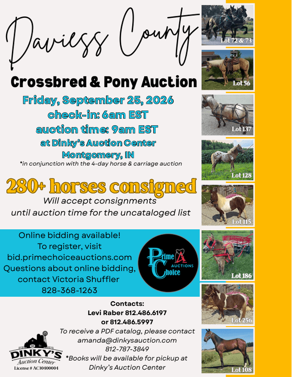 Image for Daviess County Crossbred & Pony Auction