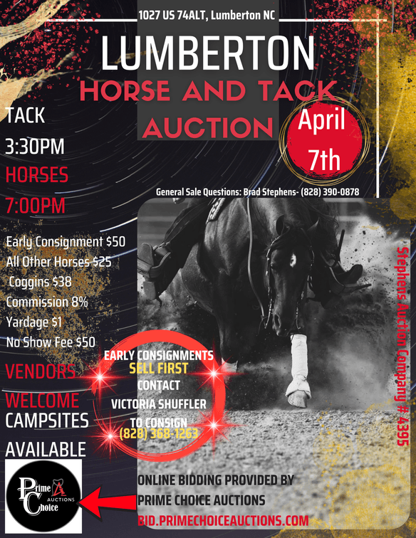 Image for Lumberton Horse and Tack Auction April 2025