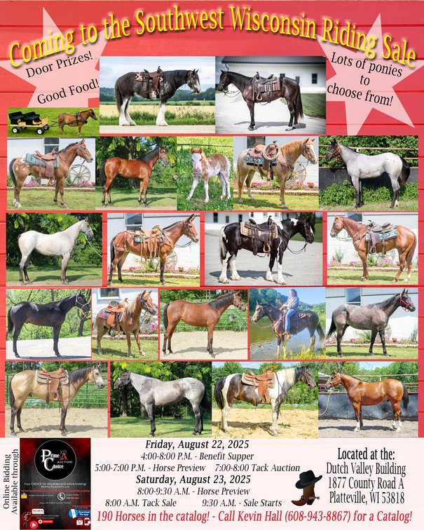 Image for Southwest Wisconsin Riding Horse Sale