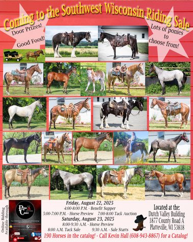 Image for Southwest Wisconsin Riding Horse Sale
