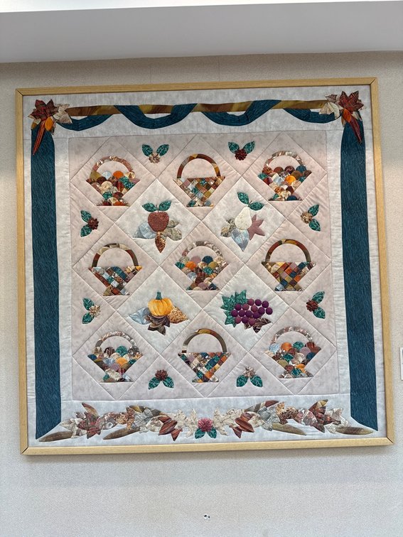 Image for SOLD! WellSpan York Hospital Auxiliary Benefit Quilt Auction