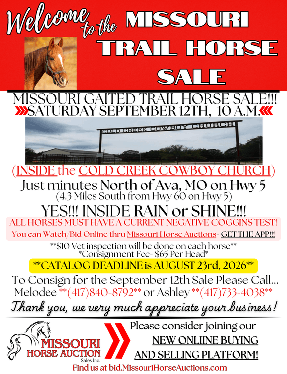 Image for Missouri Horse Auction AVA TRAIL HORSE SALE- SATURAY, SEPTEMBER 12TH, 2026