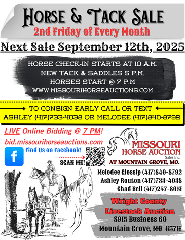 Image for Missouri Horse Auction AT MOUNTAIN GROVE- FRIDAY, SEPTEMBER 12TH, 2025