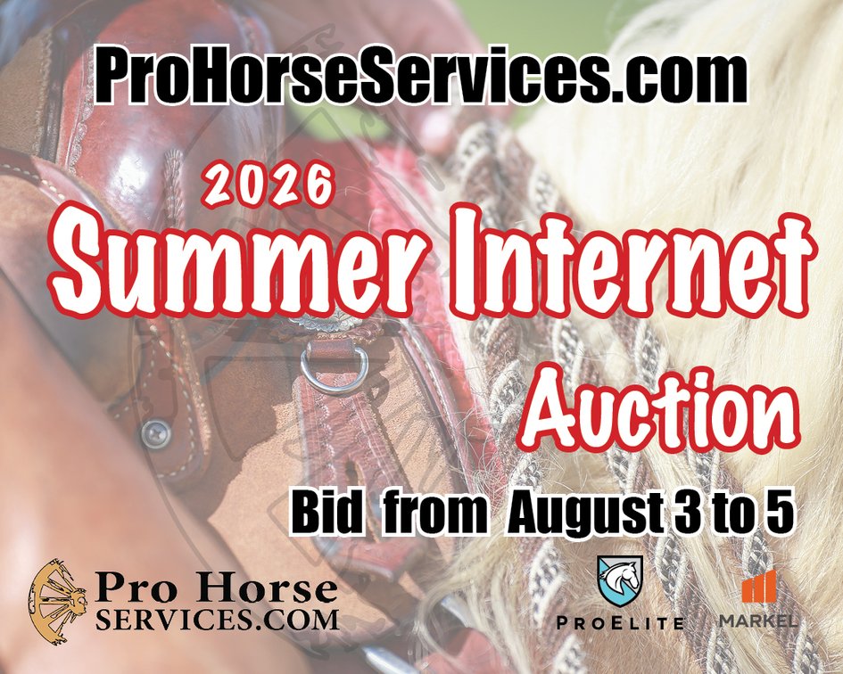 Image for 2026 Summer Internet Auction