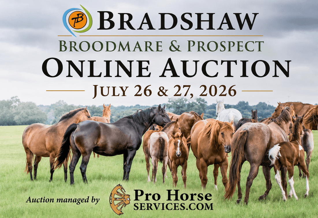 Image for Bradshaw Broodmare & Prospect Online Auction