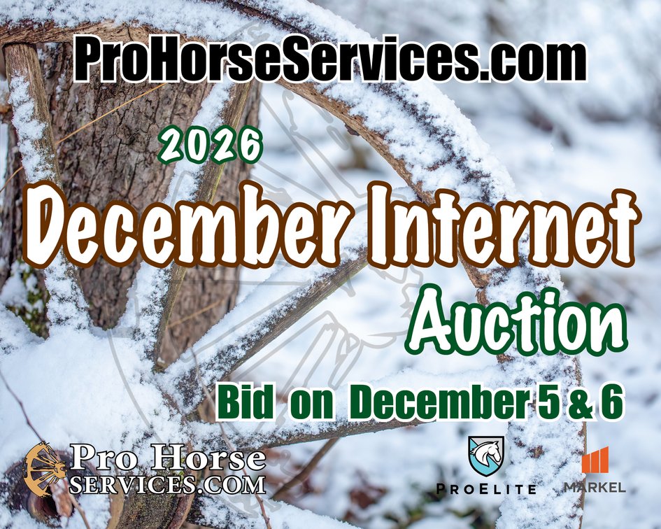Image for 2026 December Internet Auction