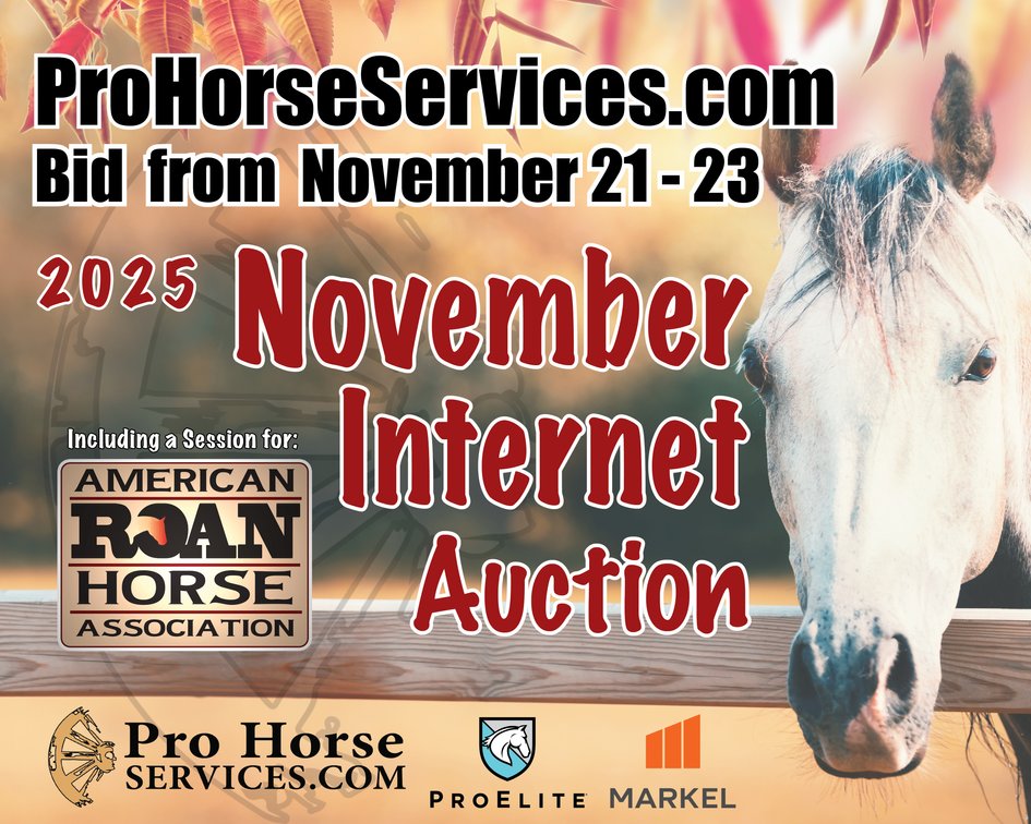 Image for 2025 November INTERNET Auction