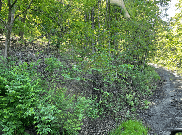 Image for Cheat Lake Lot in Mont Chateau Estates! Lot 20 or .2885 AC The View At Cheat Lake, Mont Chateau Estates. Bidding Begins Closing on December 11th, 2025, at 6:00 p.m.