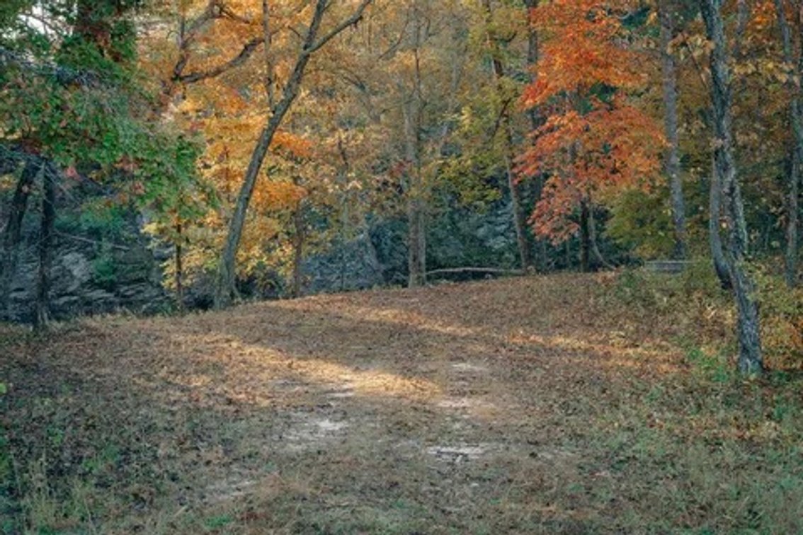 Image for Online Land Auction - Craigs Creek - Outdoor lovers dream