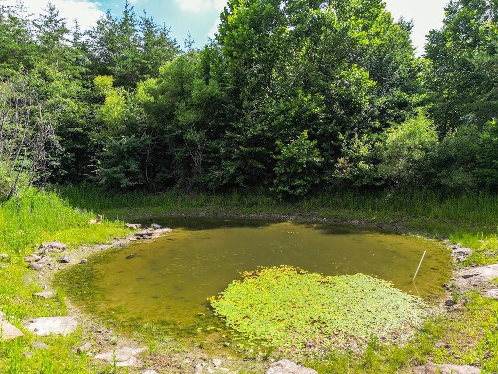 Image for 171 Kirkland Dr. Crossville, TN 38555