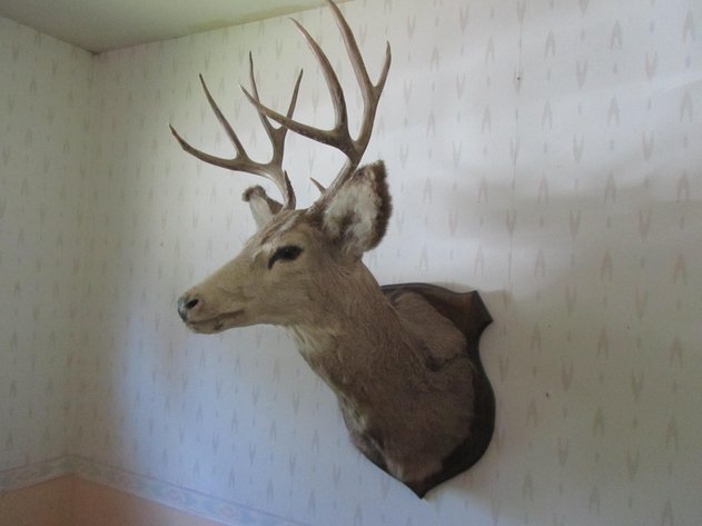 Image for Schaaf Estate, Pequot Lakes, MN (163464)