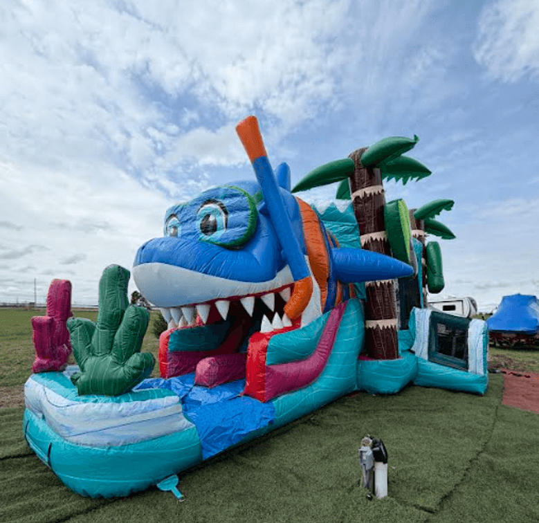 Bounce House & Inflatable Rental Liquidation: Part 2