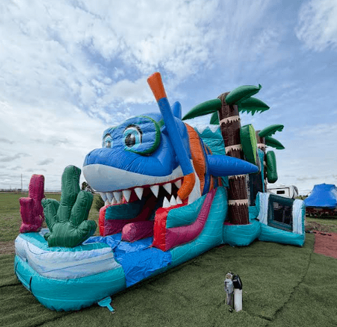 Image for Bounce House & Inflatable Rental Liquidation: Part 2