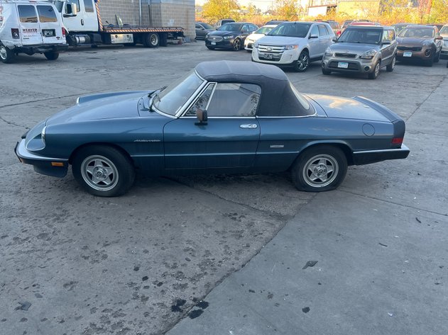 Image for Trucks, SUVs & Cars: International Flatbed, Alfa Romeo, Ford Bronco & More