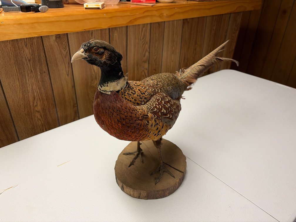 Image for John Goodlove Estate - Personal Property