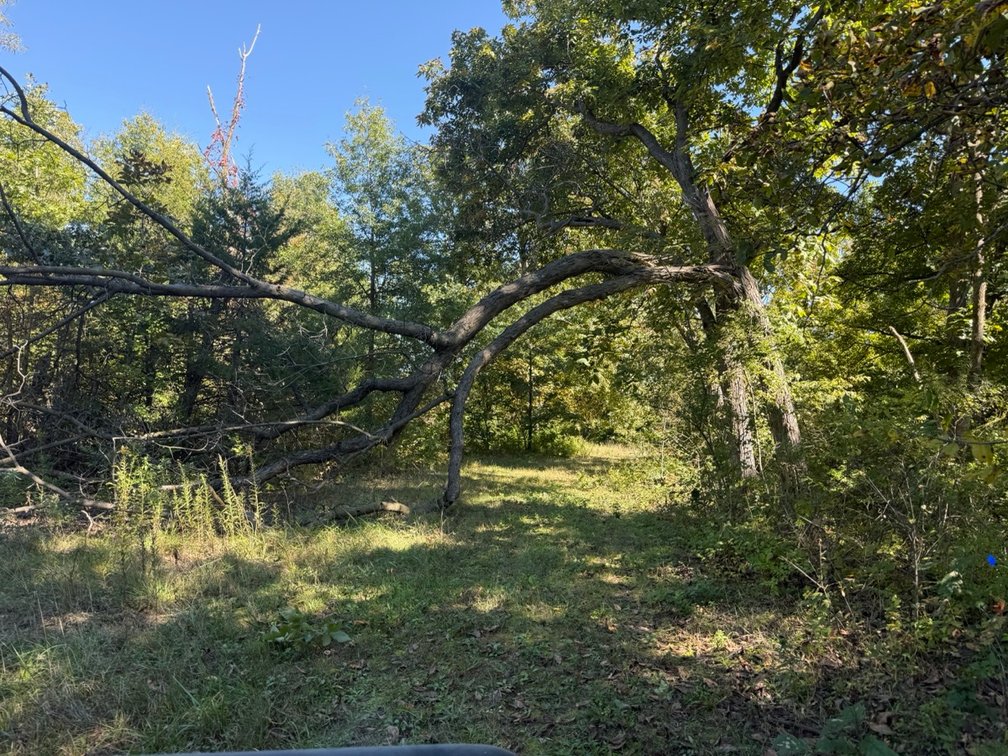 Image for 168 m/l Acres of Recreational Land - Lee County, IA