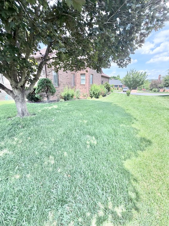 Image for Thursday, July 16, 2026 3365 White Oak Dr. Rockingham, Va