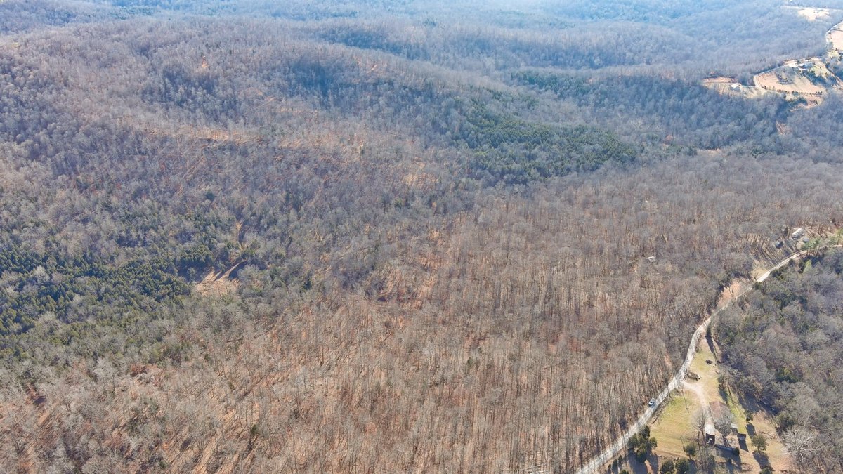 Image for Online Land Auction – 176.452± Acres – Payneville, KY