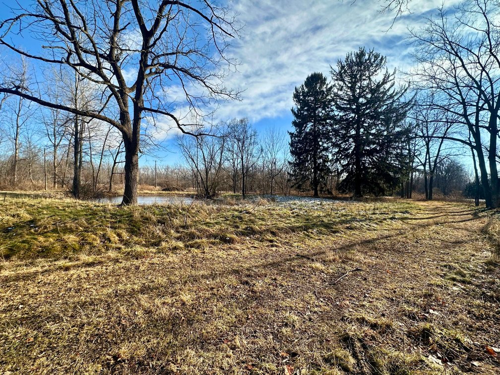 Image for Minimum Bid $115,000 6.5 Acre Land Auction 11320 S. River Rd. Grand Rapids, OH 43522