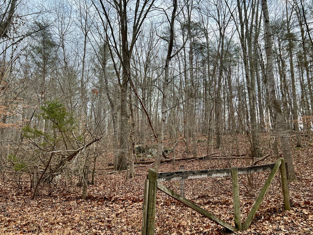 Image for 4 BR/2.5 BA Home w/Basement, Barn & Hazel River Frontage on 28.4 +/- Acres in Culpeper & Rappahannock County, VA--SELLING to the HIGHEST BIDDER via ONLINE ONLY BIDDING!!