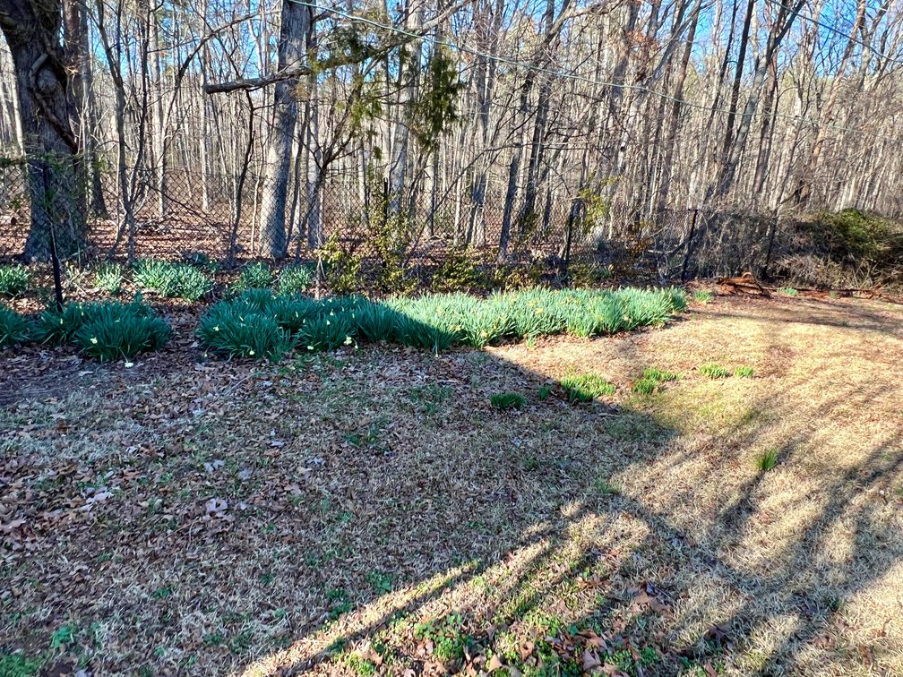 Image for 3 BR/2 BA Home on .29 +/- Acre Lot in Spotsylvania County, VA
