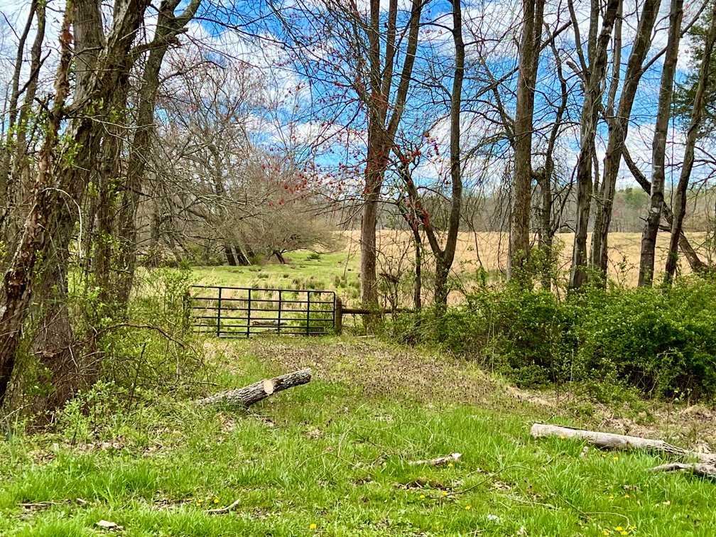 Image for 77.09 +/- Acre Parcel w/3,400' +/- of Total Road Frontage on 2 Roads, Barn/Outbuildings & Mountain Views in Culpeper County, VA--SELLING to the HIGHEST BIDDER!!