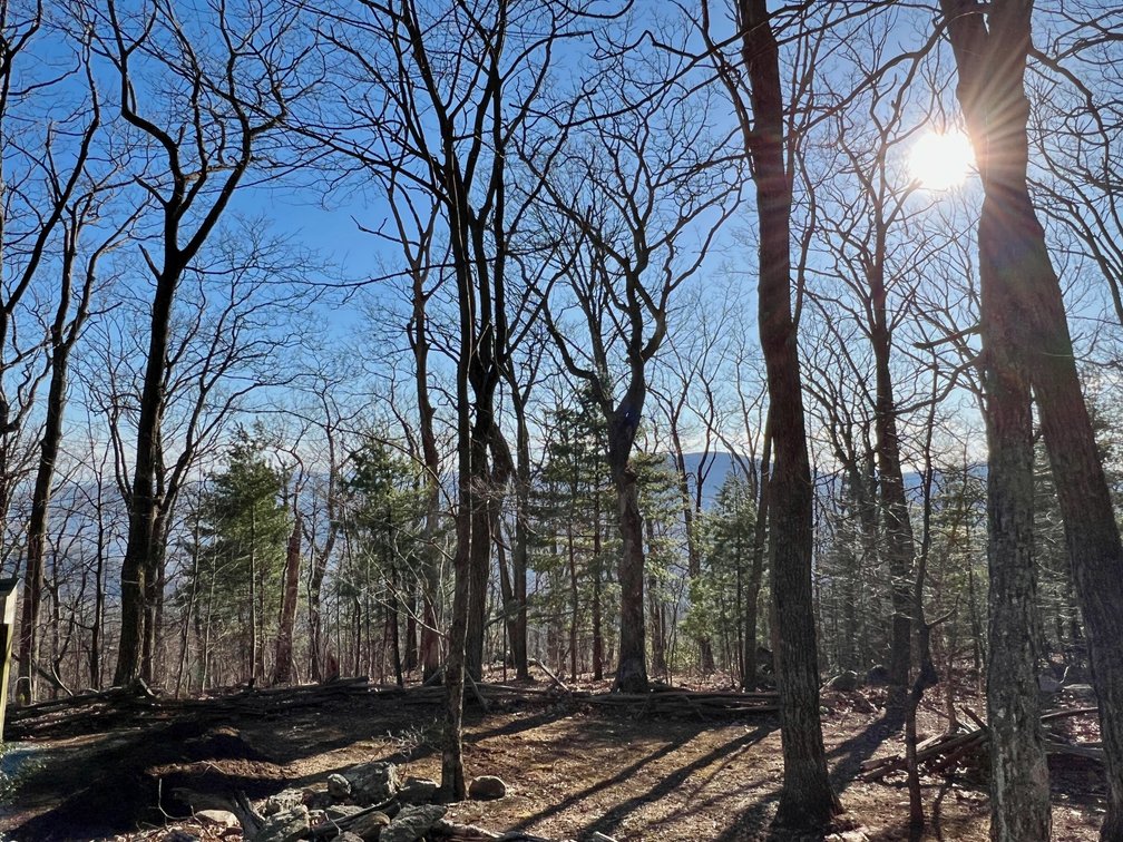 Image for 4 BR/1.5 BA Period Correct Relocated 1850's Log Cabin on 10 +/- Acres w/Amazing Mountain Views in Greene County, VA--ONLINE ONLY BIDDING!!